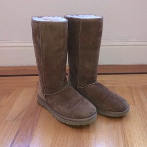 UGG Tall Classic in Chestnut